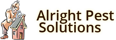 Alright Pest Solutions